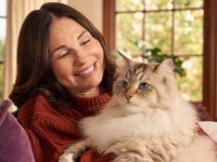 怎么判断自己猫毛过敏?猫咪不停地抓挠瘙痒的原因与解决对策