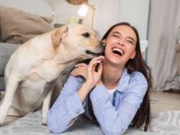 关于狗狗嗅觉的13个有趣事实:让你重新认识它们的冷知识