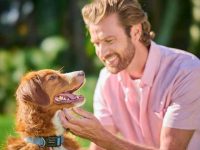 狗狗身上常见的11个常见的行为问题及解决方法