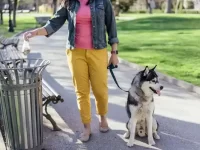 狗拉的粑粑如何处理?铲屎官必看指南!