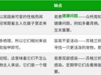 苏格兰折耳猫的优点和缺点有哪些?关于苏格兰折耳猫的5个趣闻!