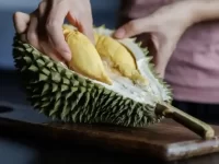 狗狗可以吃榴莲吗?如何安全地给狗狗喂榴莲?