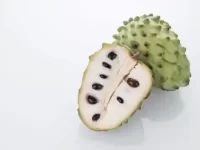 狗狗可以吃释迦果吗?释迦果对狗狗安全吗?