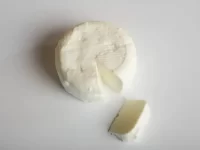 狗可以吃山羊奶酪吗?山羊奶酪对狗有哪些好处和坏处?