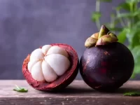 狗狗可以吃山竹吗?山竹对狗狗的好处和坏处!