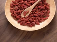 狗狗可以吃枸杞吗?狗吃枸杞子有什么功效?