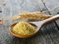 狗狗可以吃小麦胚芽吗?小麦胚芽有哪些好处及营养价值?