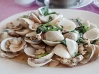 狗狗可以吃蛤蜊吗?蛤蜊对狗有哪些好处?