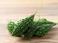 狗狗可以吃苦瓜吗?苦瓜对狗有什么好处?