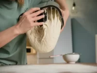 狗可以吃酵母吗?狗狗偷吃酵母怎么办?